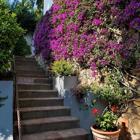 Solaria Daire Capri